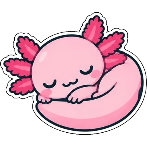 A sleepy curled-up axolotl