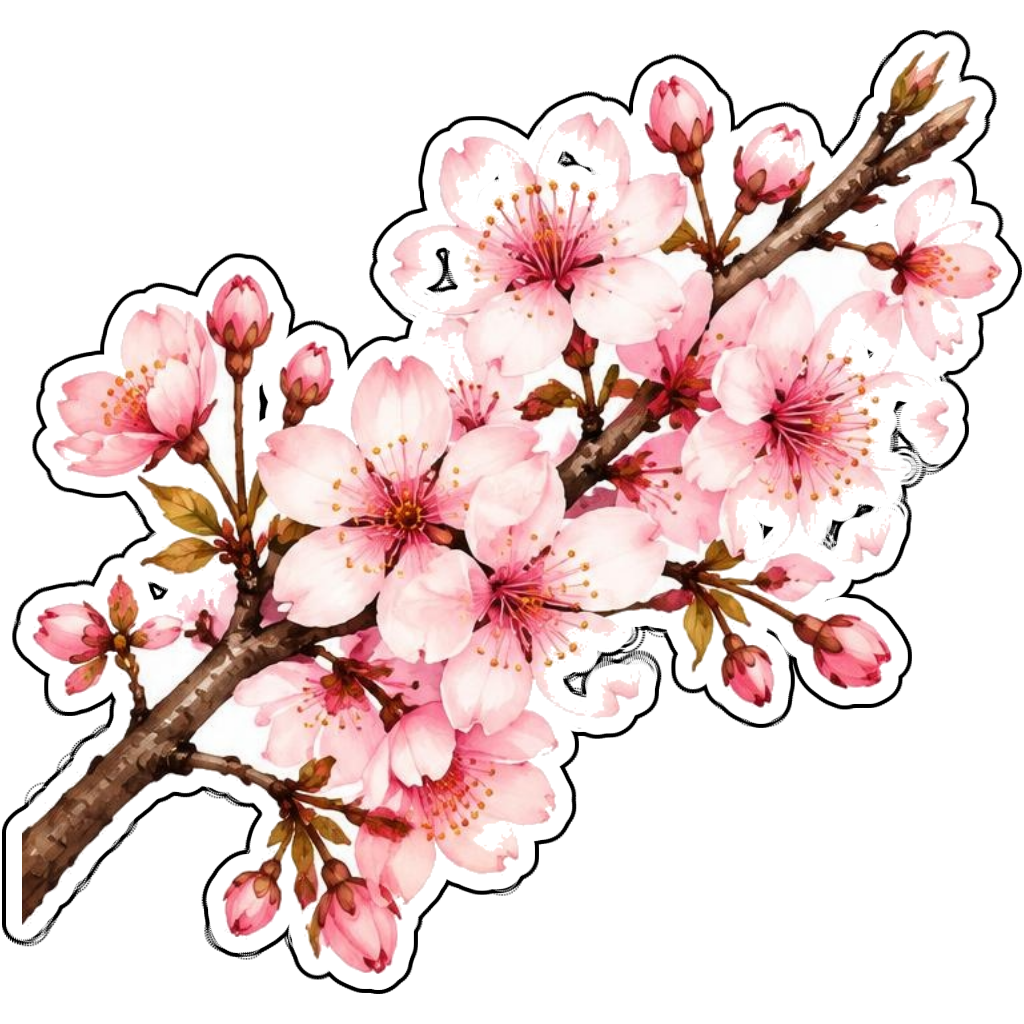 A pink cherry blossom branch