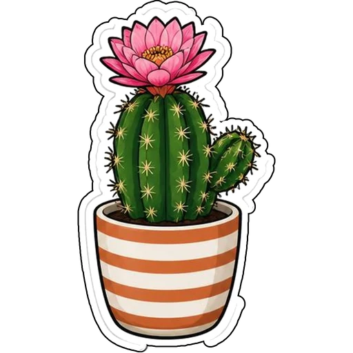 A flowering cactus in a striped pot