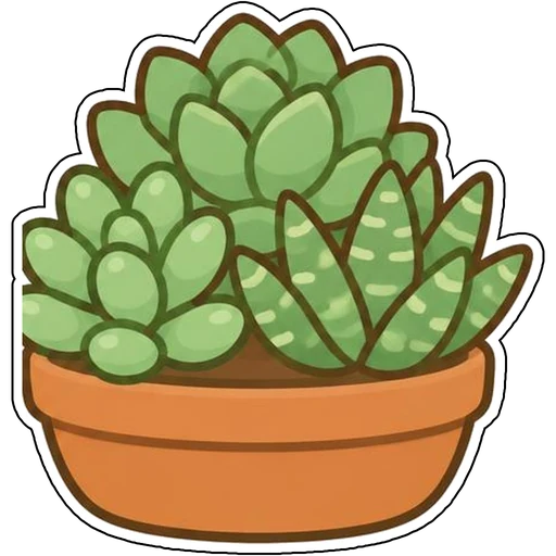 An aloe plant in a striped pot